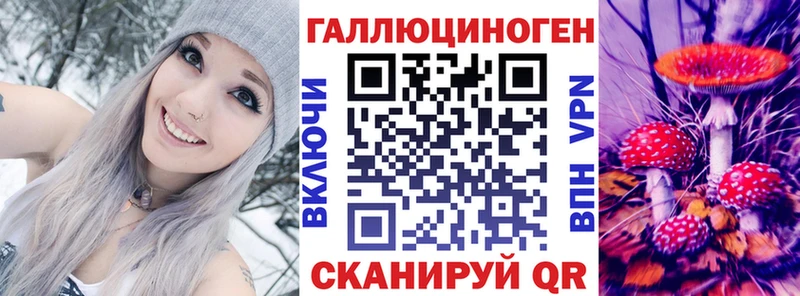 Купить  Коммунар  Псилоцибиновые грибы MAGIC MUSHROOMS 